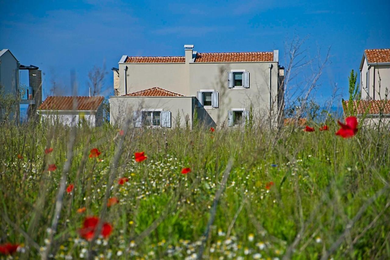 Villa Flamingo Kaštelir Zewnętrze zdjęcie