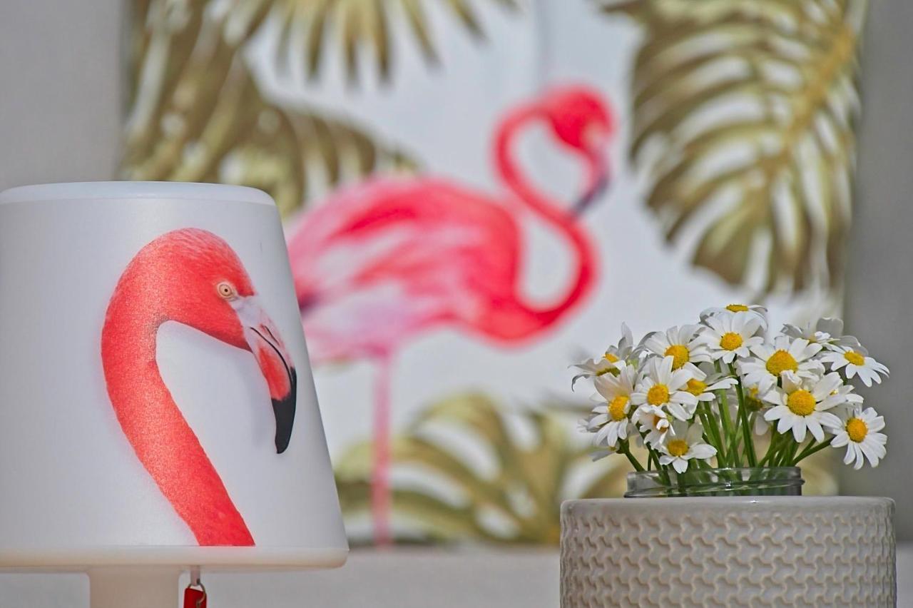 Villa Flamingo Kaštelir Zewnętrze zdjęcie